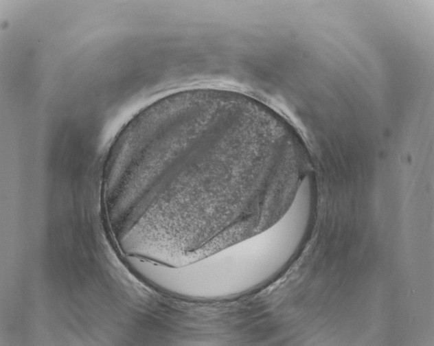 X0000088031504200705251103