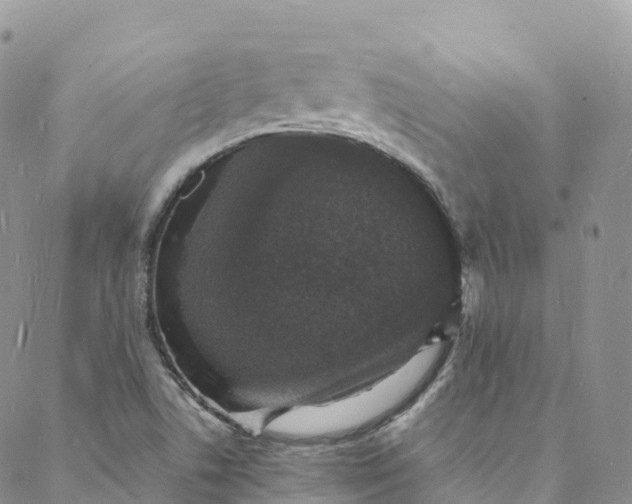 X0000088031506200705251103