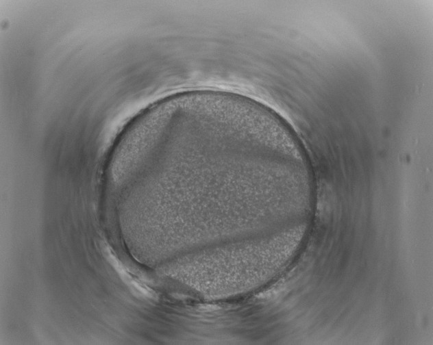 X0000088031507200705251103