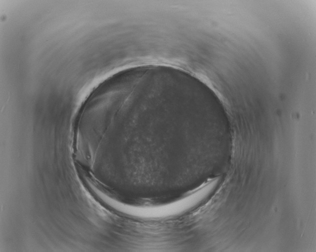 X0000088031508200705251103