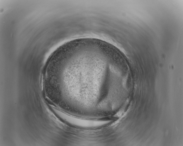 X0000088031510200705251103