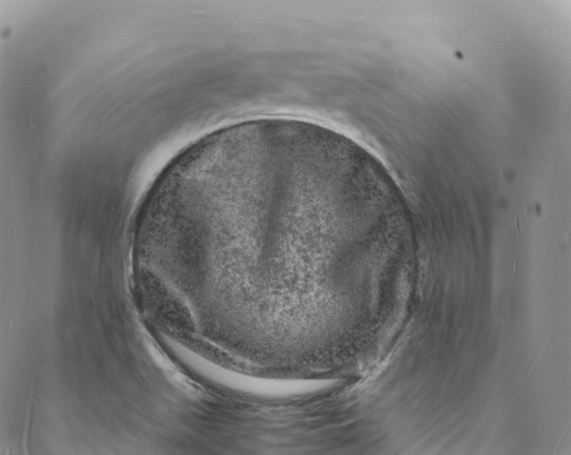 X0000088031511200705251103