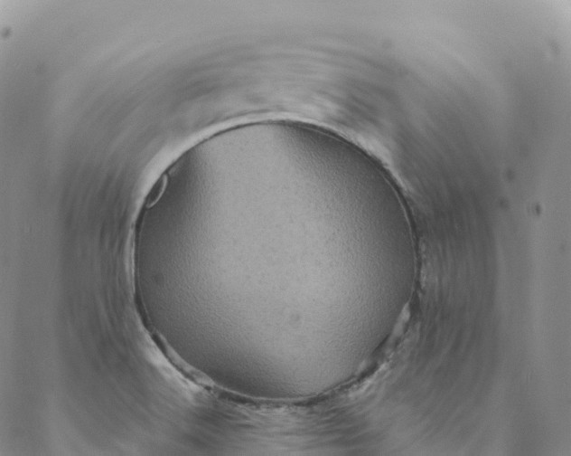 X0000088031516200705251104