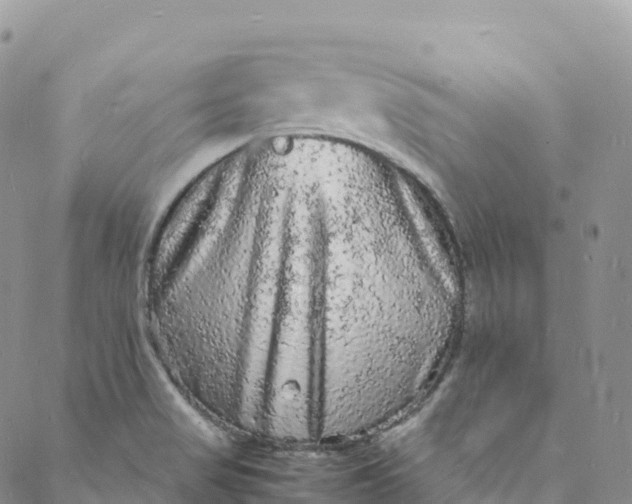 X0000088031517200705251104