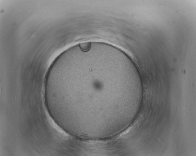 X0000088031518200705251104