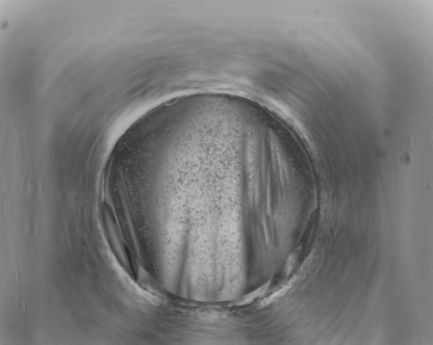 X0000088031520200705251104