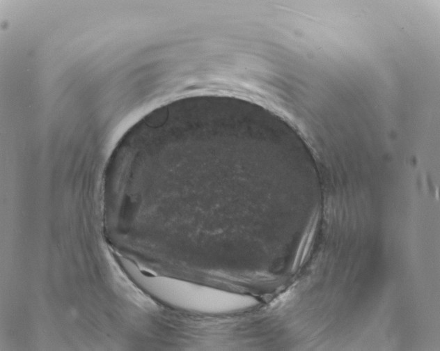 X0000088031522200705251104