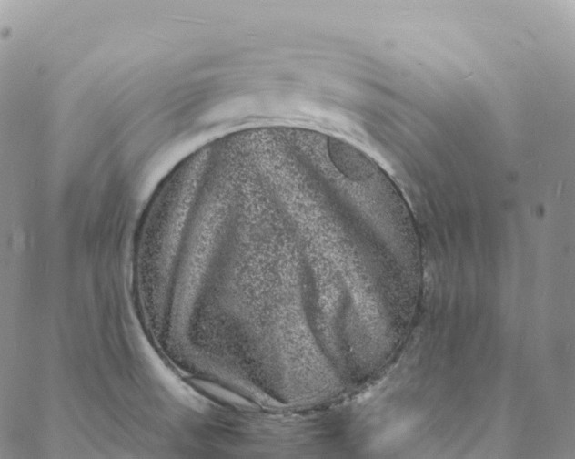 X0000088031523200705251104