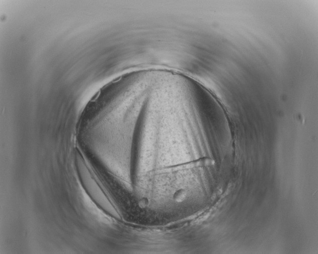 X0000088031524200705251104