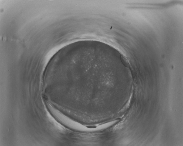 X0000088031527200705251104