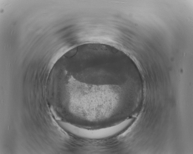 X0000088031529200705251104