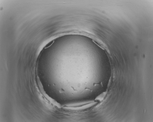 X0000088031530200705251104