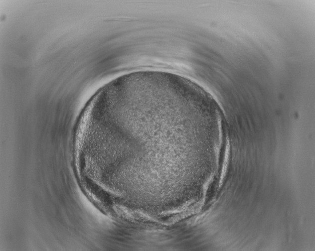 X0000088031531200705251104