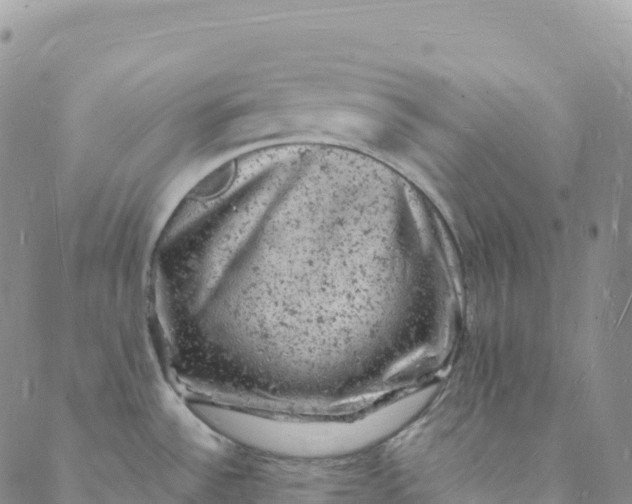 X0000088031532200705251104