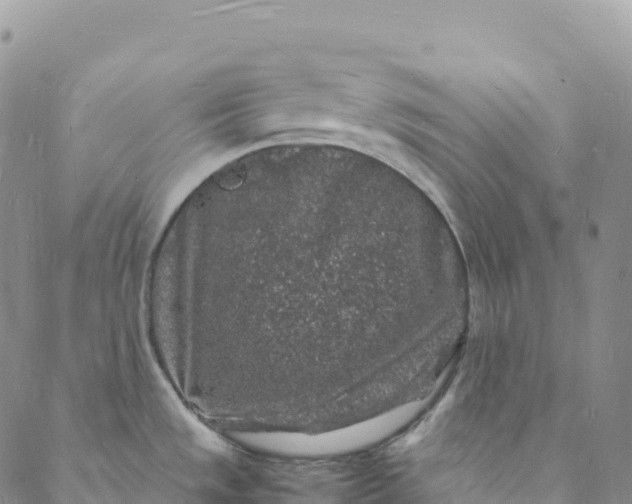 X0000088031533200705251104