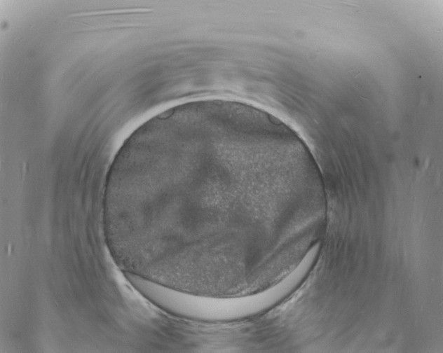 X0000088031534200705251104