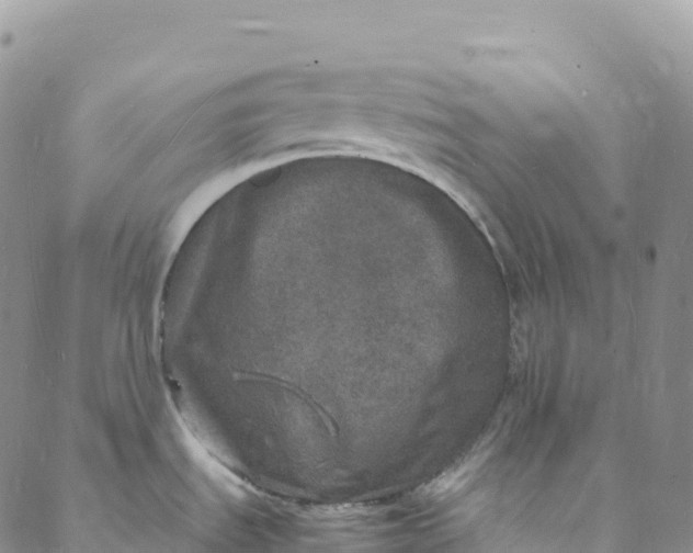 X0000088031535200705251104