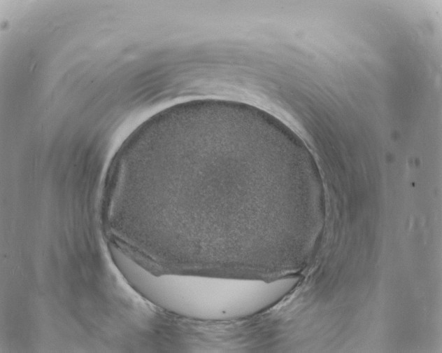 X0000088031536200705251104