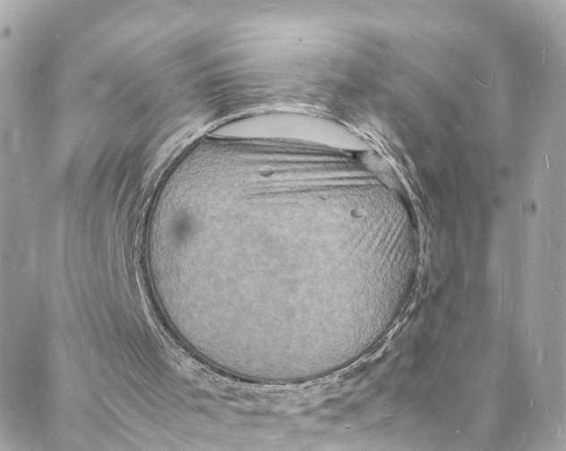 X0000088030001200706011401