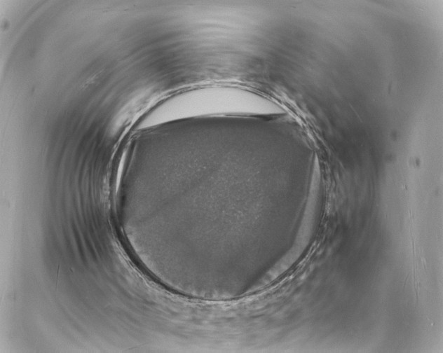 X0000088030002200706011401