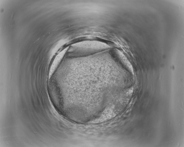 X0000088030003200706011401