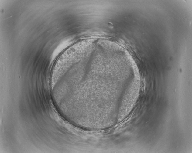 X0000088030004200706011401