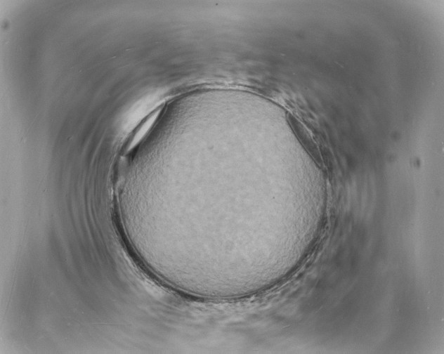 X0000088030005200706011401