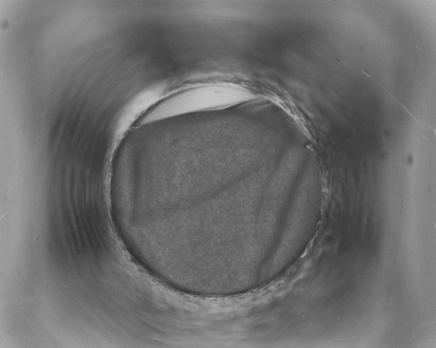 X0000088030006200706011401