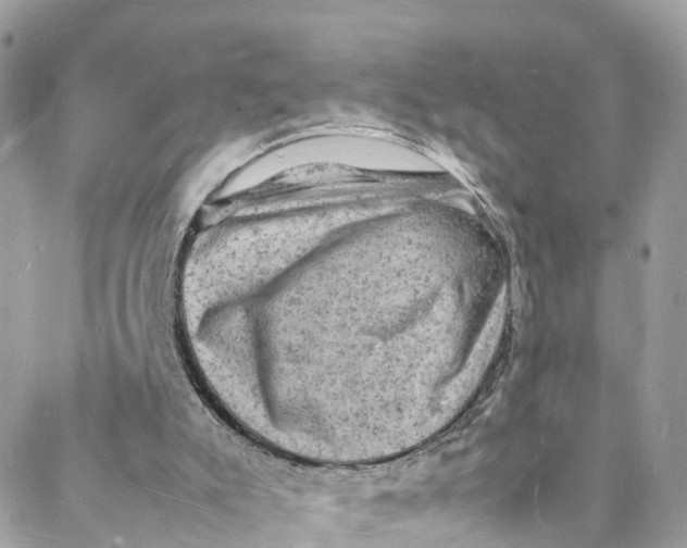 X0000088030007200706011401