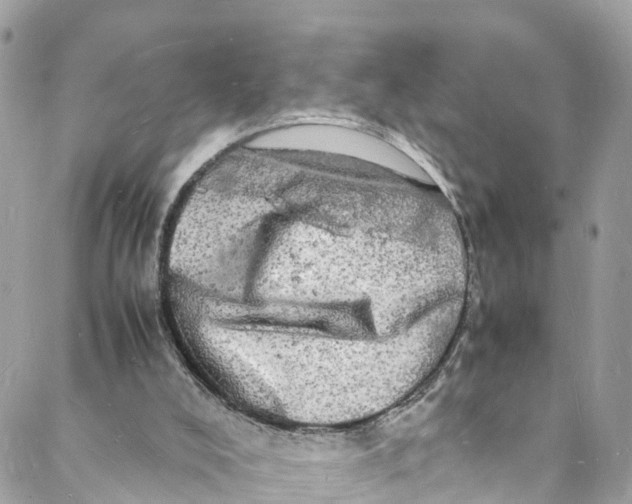 X0000088030008200706011401