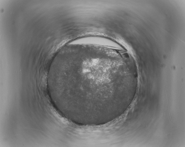 X0000088030009200706011401