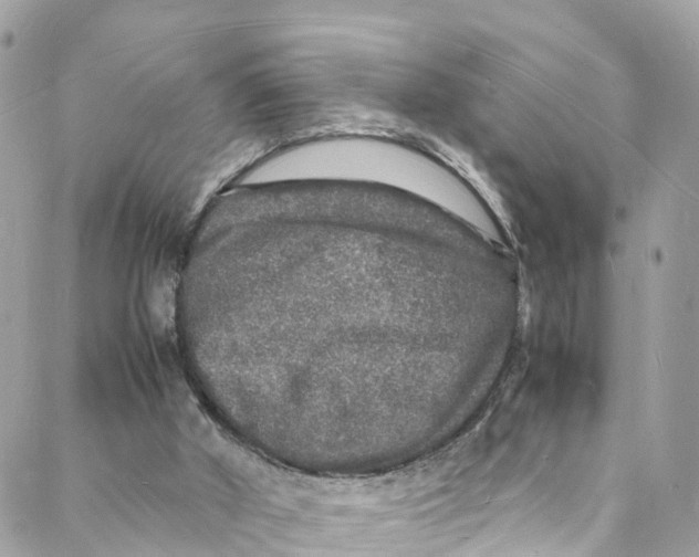 X0000088030010200706011401