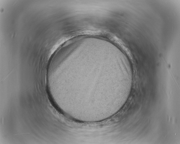 X0000088030011200706011401