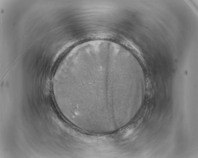 X0000088030012200706011401