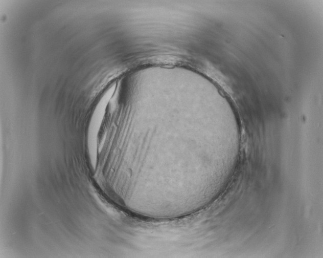 X0000088030013200706011401