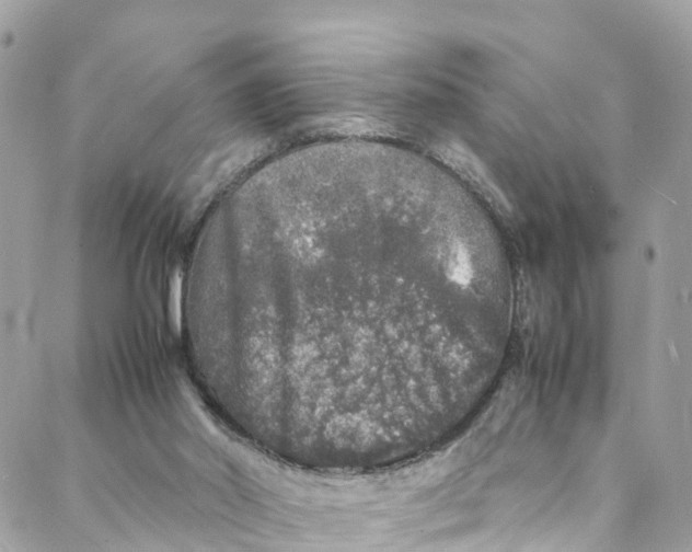 X0000088030014200706011401