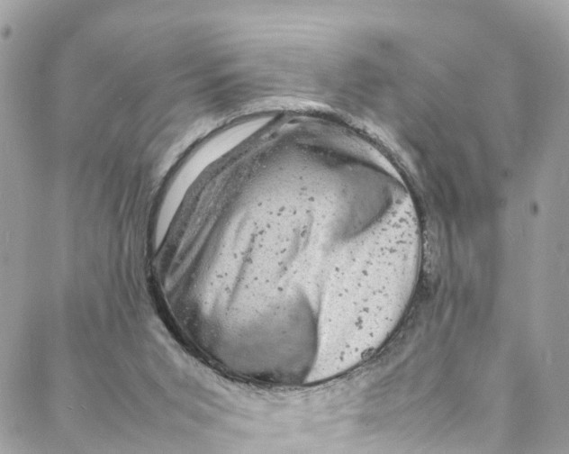 X0000088030015200706011401