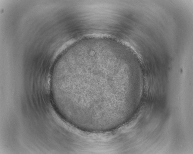 X0000088030016200706011401