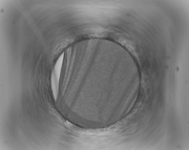 X0000088030017200706011401