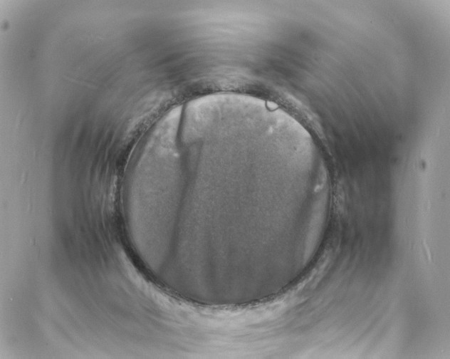 X0000088030018200706011401