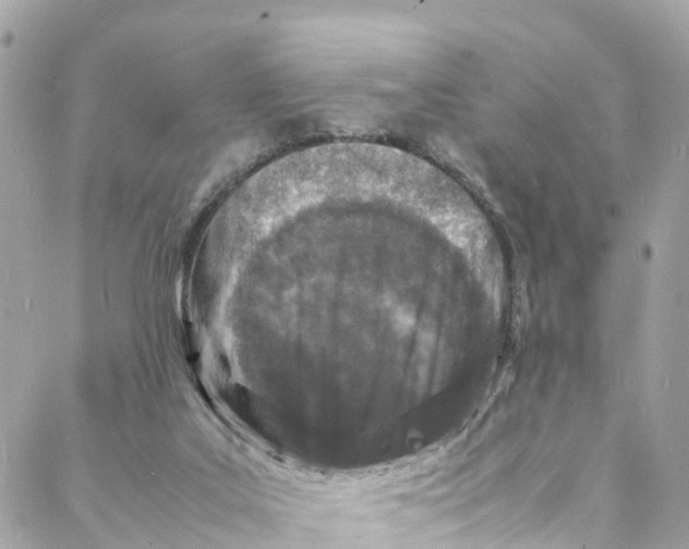 X0000088030019200706011401