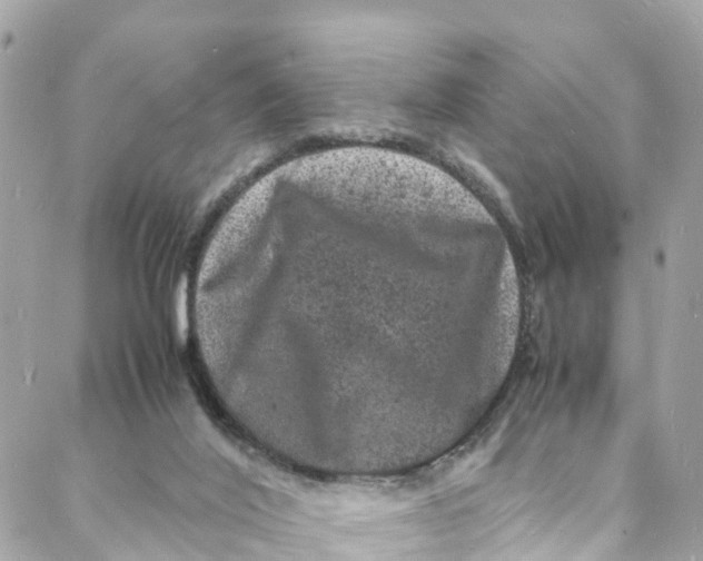 X0000088030020200706011401