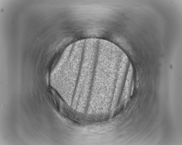 X0000088030021200706011401