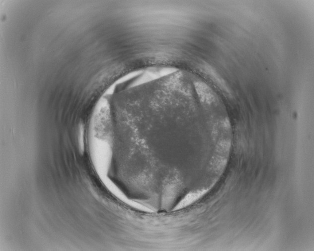 X0000088030022200706011401