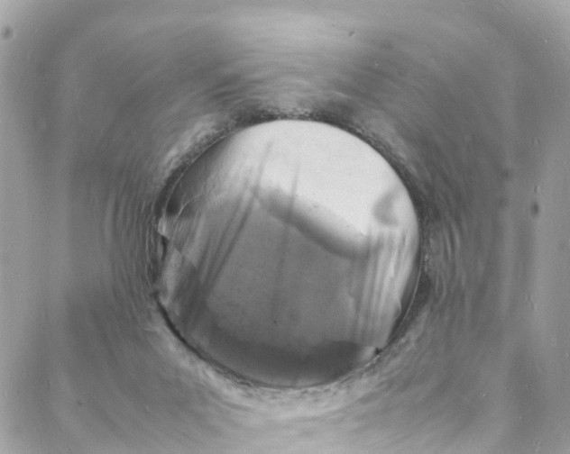 X0000088030023200706011401