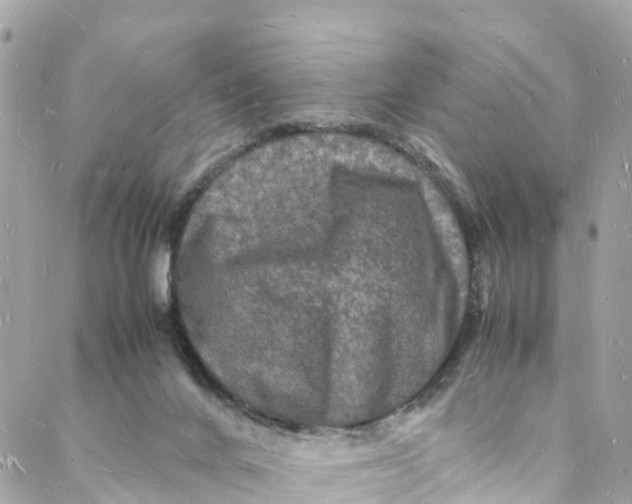 X0000088030024200706011401