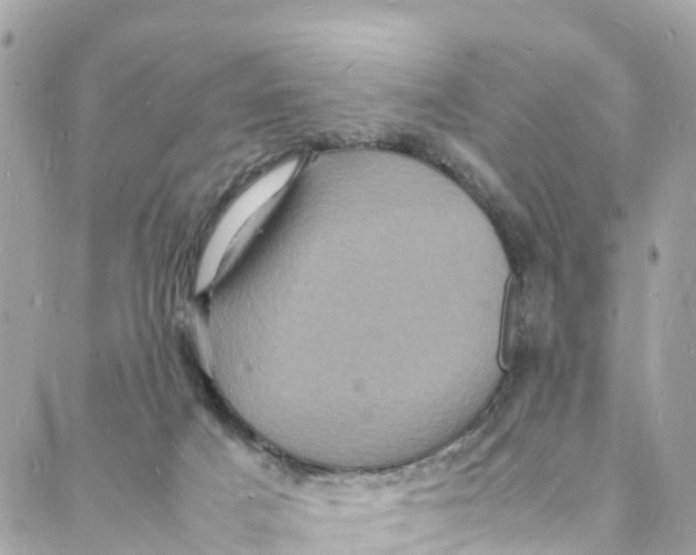 X0000088030025200706011401