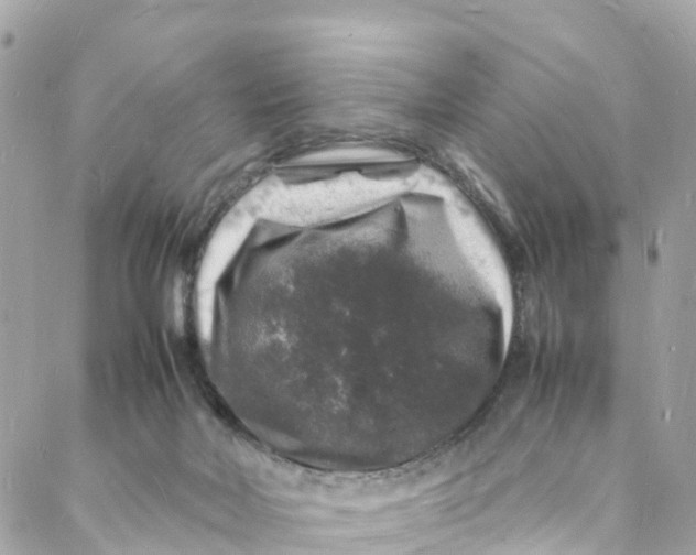 X0000088030026200706011401