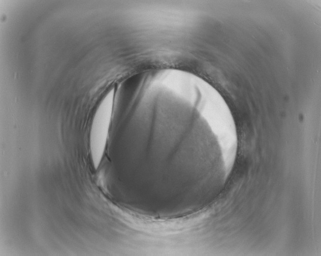 X0000088030027200706011401