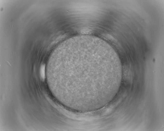 X0000088030028200706011401